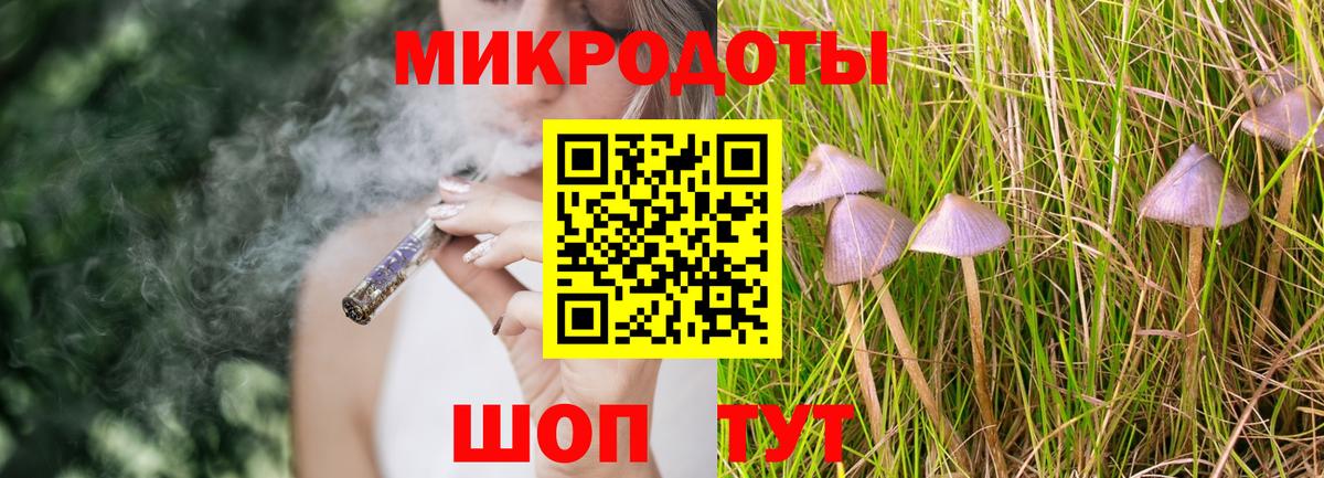 купить закладку  Вход с VPN  Коряжма  Галлюциногенные грибы Psilocybine cubensis 